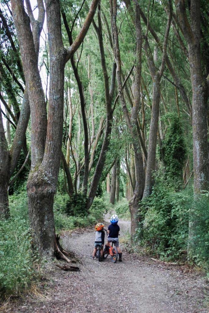 Quiet and off the beaten track, this river trail track at the Ashburton River Trail, is a great easy walk or bike for toddlers and older children // Backyard Travel Family