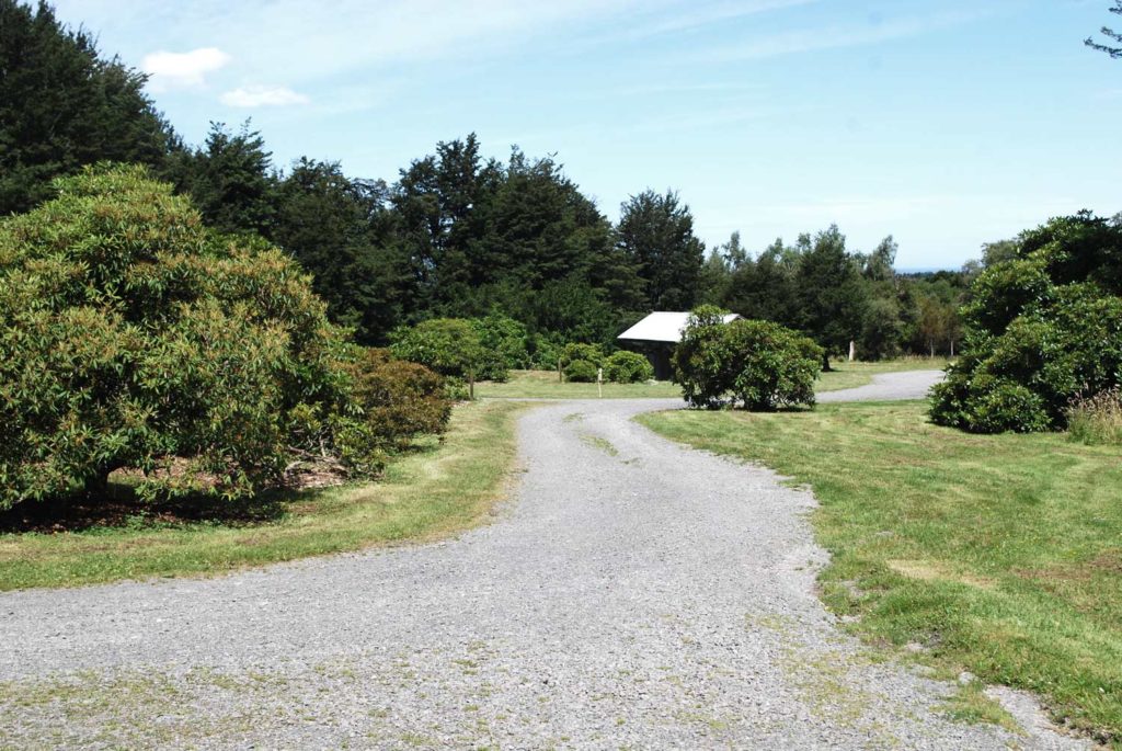 Parking and facilities in the clearing at the Awa Awa Rata Reserve // Backyard Travel Family