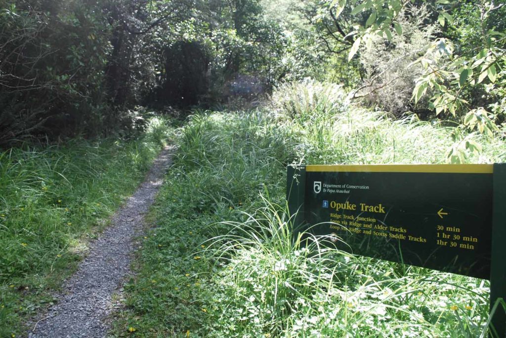 Backyard Travel Family highlight the benefits of traveling to the AwaAwa Rata Reserve for a family walk
