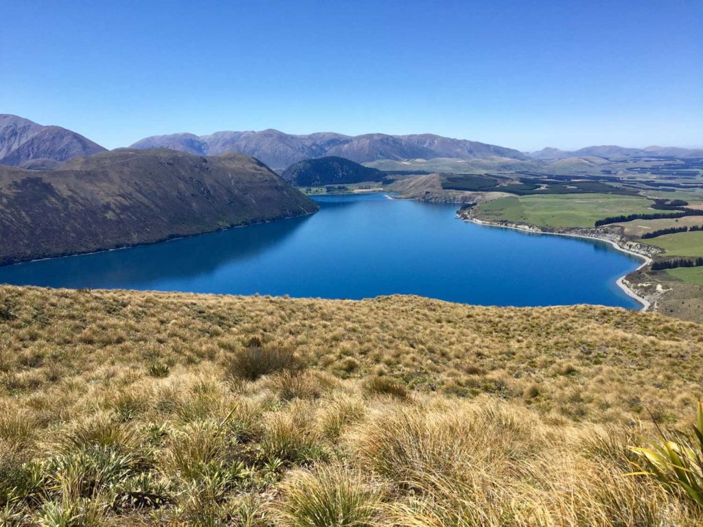 360 degree views at Peak Hill Walk, Canterbury, New Zealand, will rival even the best at Roys Peak Wanaka // Backyard Travel Family