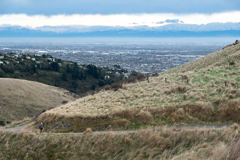 Christchurch City View from the Rapaki Track, Port Hills, Canterbury, New Zealand, with the snowy southern alps in the backyground