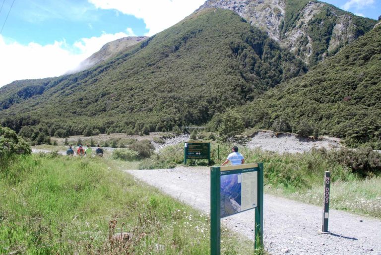 Walkers begin their short 30 minute walk to the Devils Punchbowl Waterfalls in Arthurs Pass National Park New Zealand I Photo by Backyard Travel Family