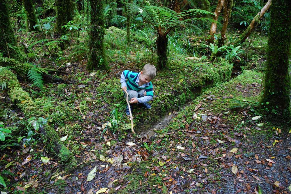 Lots of fun with sticks and searching for gold on the Woods Creek Walk, Greymouth, NZ