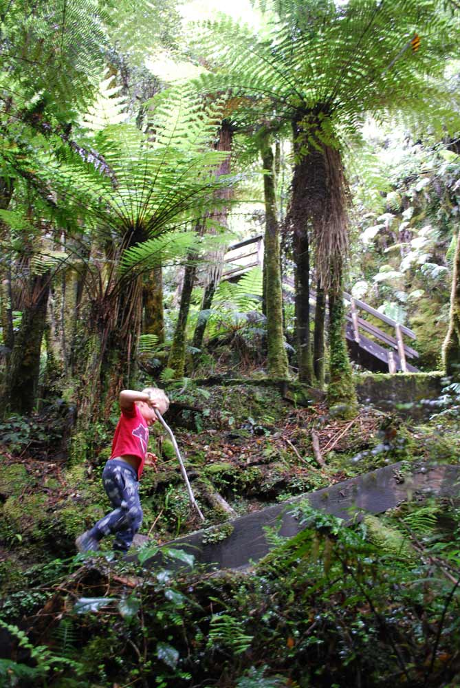 Kipton from Backyard Travel Family explores the stairs on the Woods Creek short walk, Greymouth, NZ