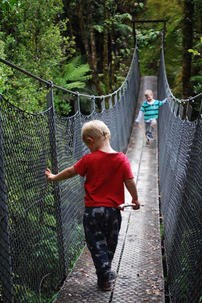 Bouncy swing bridge on the Woods Creek Walk I Search for gold mines and tunnels I Greymouth NZ