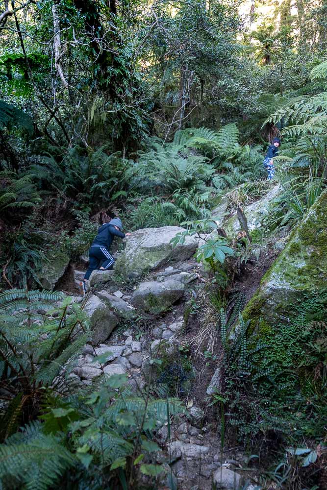 Climbing the rocks on the Lake Marian track, a great half way walk on the Milford Road Highway, Fiordland. You can even walk to Lake Marian with kids by Backyard Travel Family