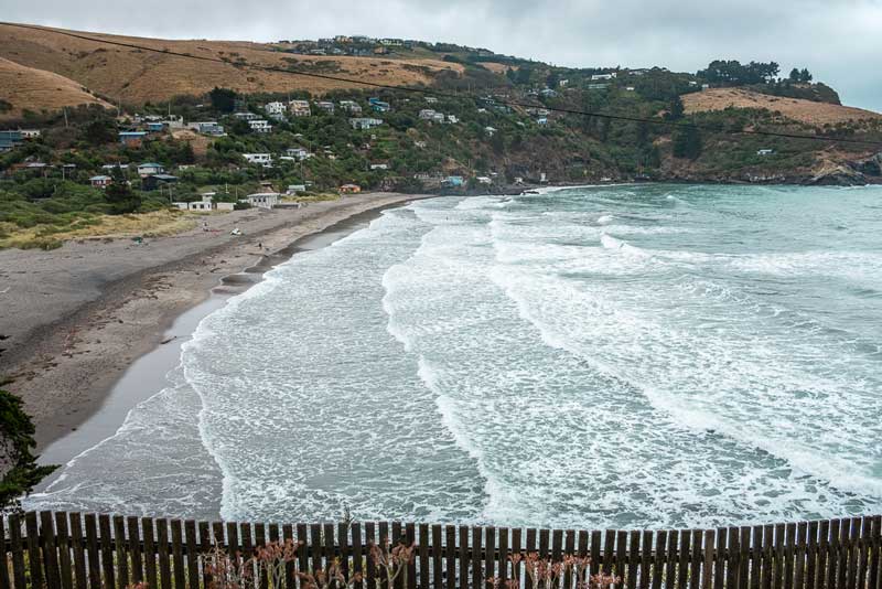 View over Taylors Mistake Beach from Godley Head Track, Christchurch, Canterbury, New Zealand. Photo by Backyard Travel Family