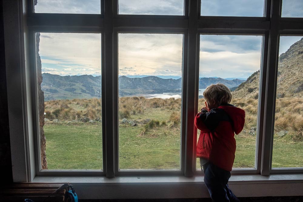 Kipton from Backyard Travel Family looks out the window at Packhorse Hut overlooking Banks Peninsula and Lyttelton Harbour