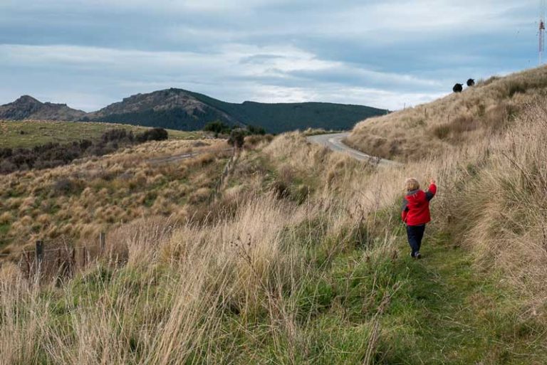 Kipton from Backyard Travel Family starts one of the best family overnight hikes / Packhorse Hut Track, Christchurch, New Zealand