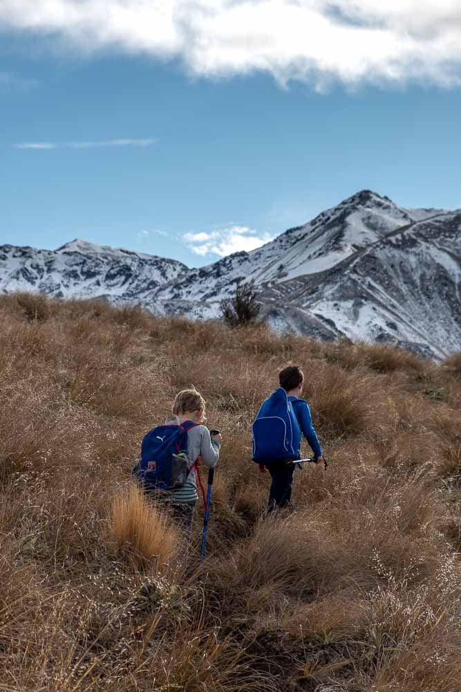 Nathan from Backyard Travel Family climbs through the tussock, snowy mountains in the background, on the Woolshed Creek Hut Track, on the Mt Somers Track, Mid Canterbury, New Zealand