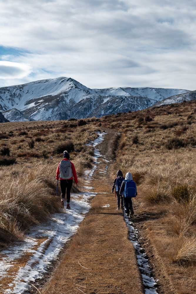 Walking towards the snowy mountains on the Woolshed Creek Hut walk, Mt Somers Track, Mid Canterbury, NZ