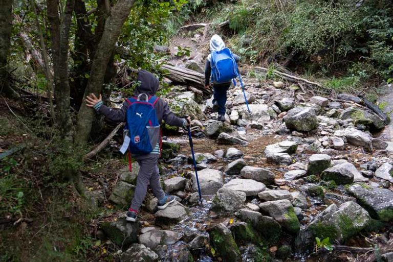 Nathan from Backyard Travel Family cross a small stream, hiking poles in hand, at the beginning of the Woolshed Creek Hut Walk, a great walk for kids in Mid Canterbury, New Zealand