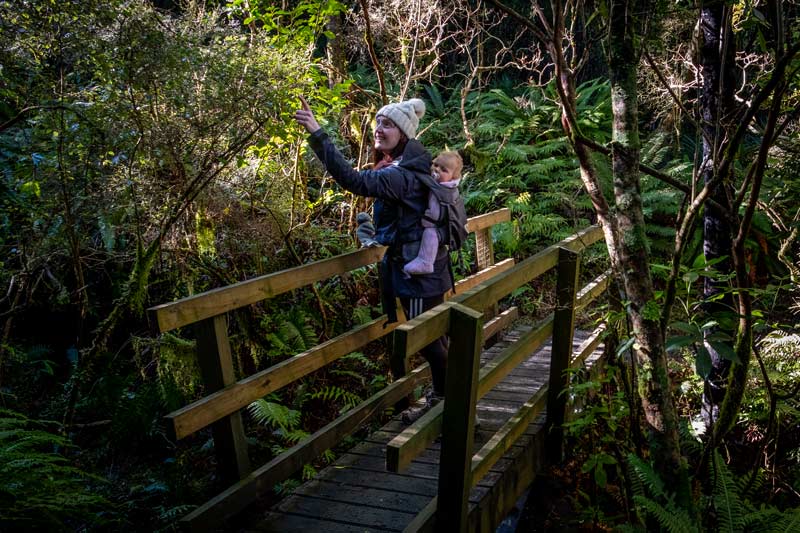 Jen from Backyard Travel Family pointing out at fantail in the Awa Awa Rata Reserve near Methven.