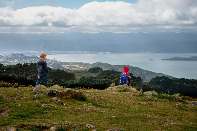Views over the Hutt Valley from Mt Kaukau track