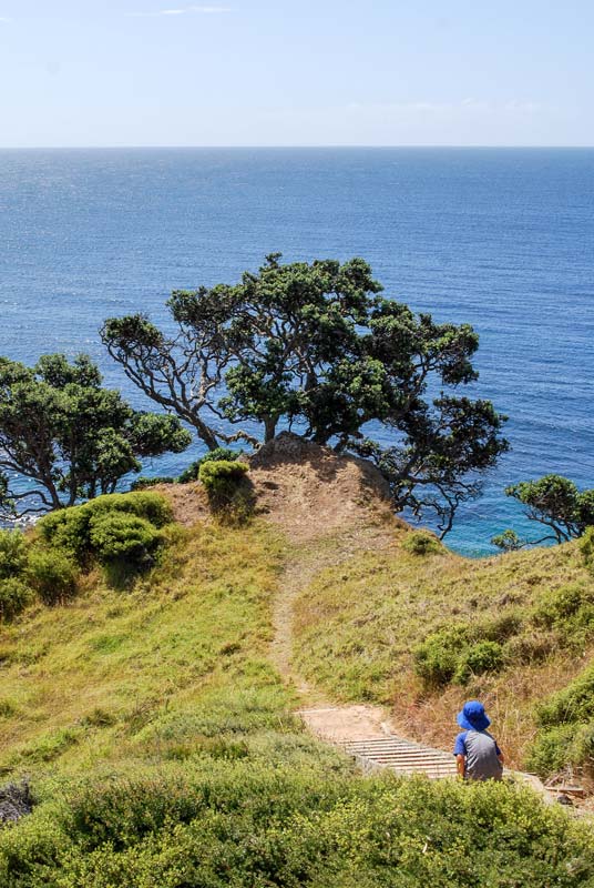 Nathan walks down the stairs on the Mahinepua Peninsula Track in Northland