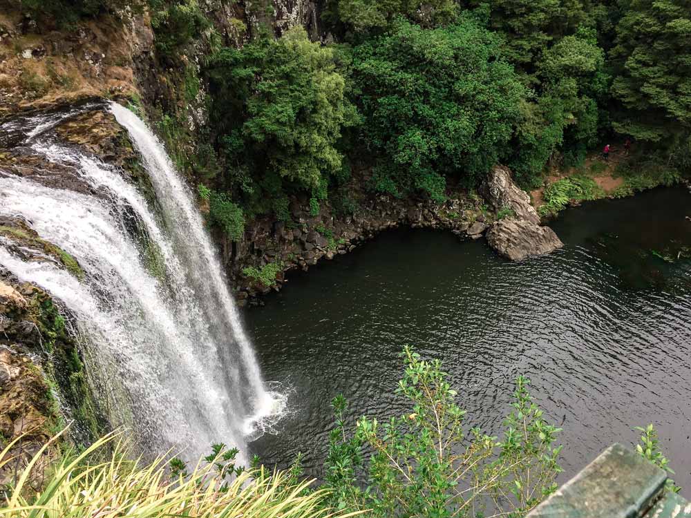 Whangarei Falls from above