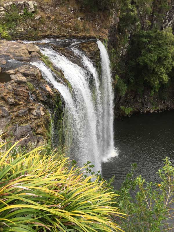 Whangarei Falls from the upper viewpoint