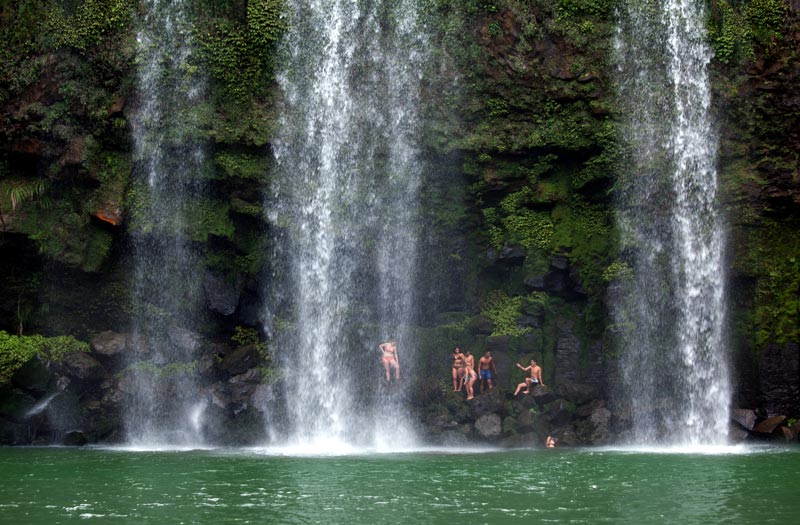 Locals swim at the base of Whangarei Falls, Northland, New Zealand