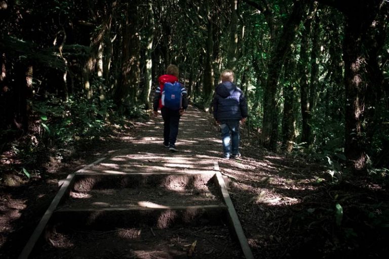 Kipton and Nathan from Backyard Travel Family walk through the darkened forest of the Mt Kaukau Track, near Wellington, New Zealand