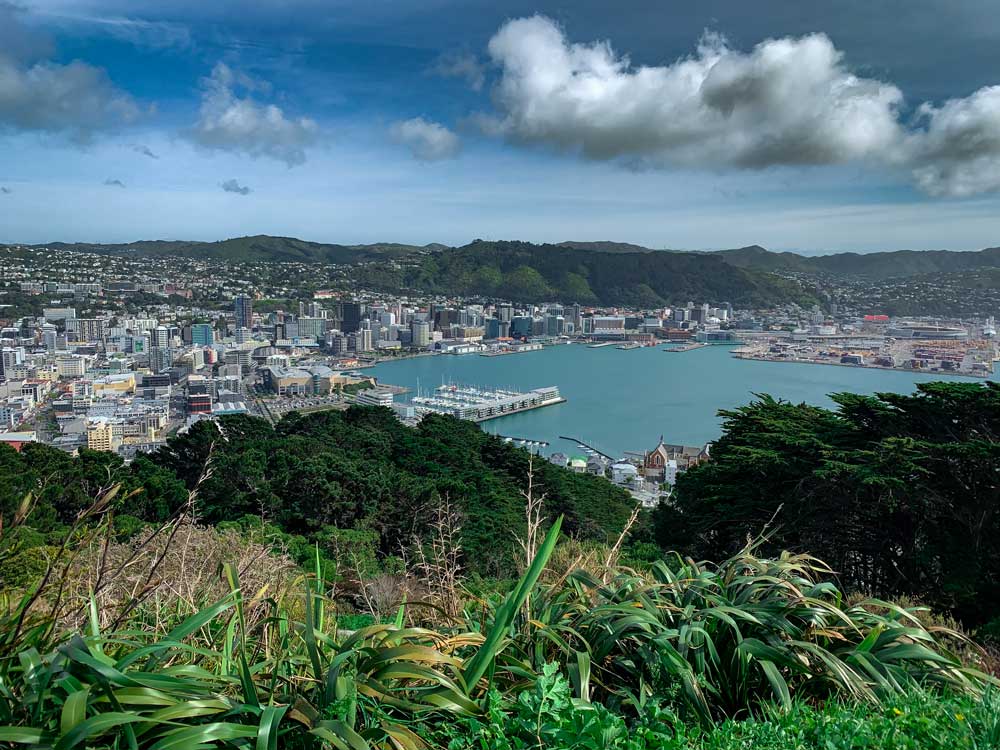 View over Wellington City and Wellington Harbour from Mt Victoria Summit Lookout Walk - photo by Backyard Travel Family