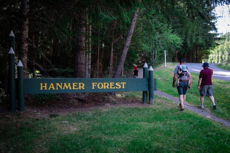Backyard Travel Family enter the Hanmer Forest Park