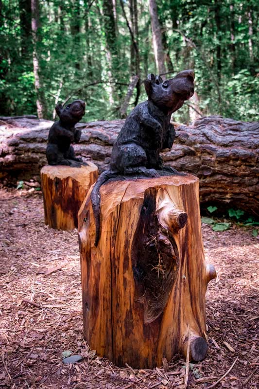 Two wooden rats, sculpted from wood on the art in the forest walk, also known as the Forest Amble Walk in Hanmer Springs