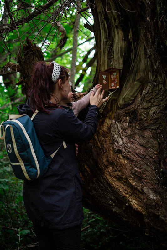 Jen and Emilia from Backyard Travel Family inspects the wooden fairy door up high in the tree in the Hanmer Fairy Door Walk