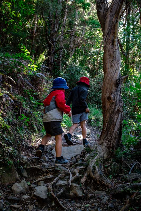 Kipton and Nathan navigate the tree roots on the Hanmer Waterfall Walk