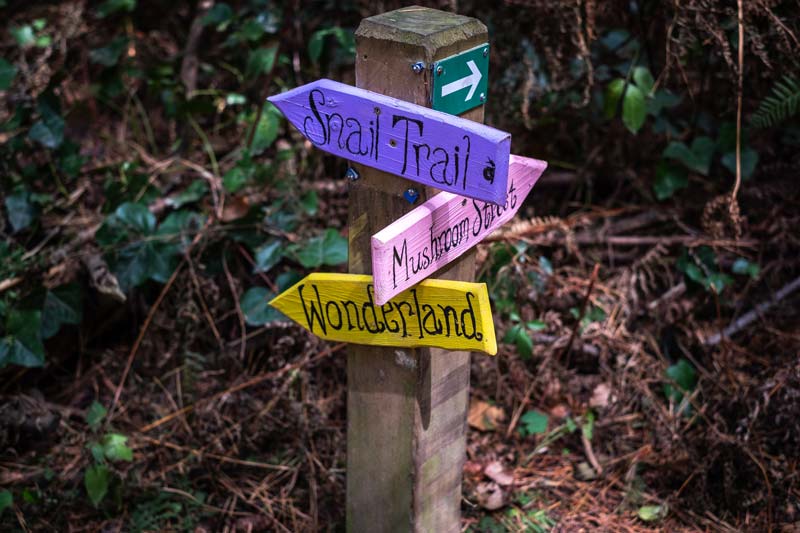 Signpost for fairies at the Magical Fairy Doors Walk in McHughs Forest