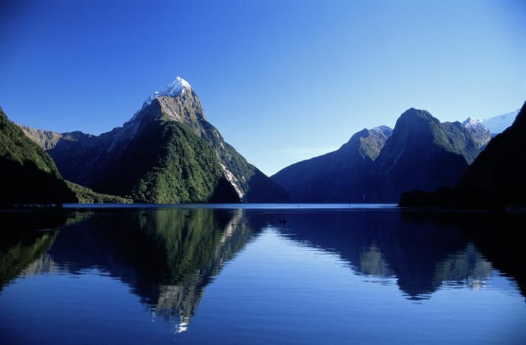 Mitre Peak stands proudly in Milford Sound on a beautiful clear blue day. Mitre Peak reflects into the waters