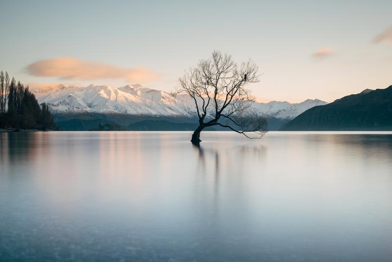 That Wanaka Tree: The beautiful whispy tree that sits in lake Wanaka, half covered in water, with snow capped mountains in behind. One of the most beautiful things you will see on your New Zealand south island road trip itinerary