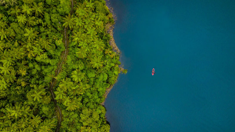 Aerial view of Paddleboarder, paddling in blue waters beside lush bush track in Rotorua