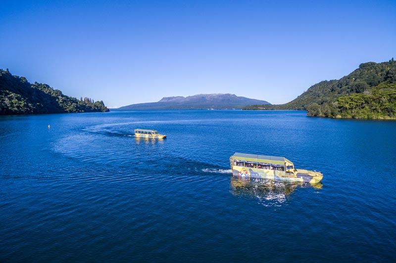 Rotorua Duck tours take 2 amphibious boats swimming in Blue Lake Rotorua