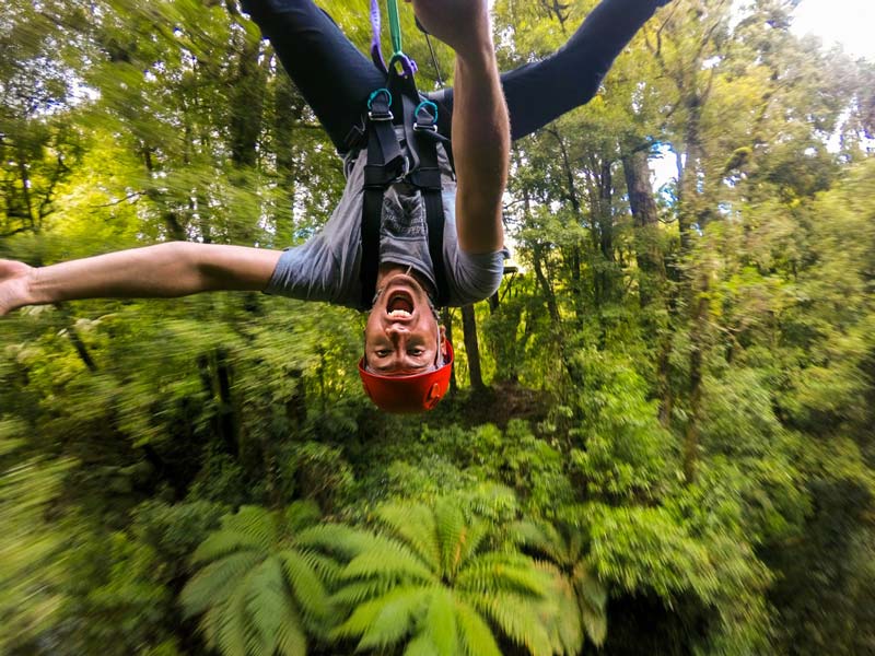 Young man hangs upside down in excitement as he swings on the zipline at the Treetop Walk in Rotorua