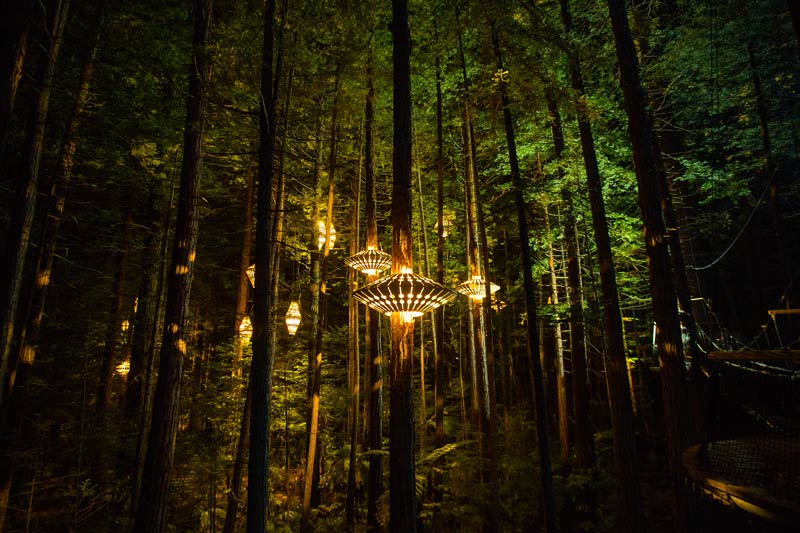 Rotorua Treewalk lit up at night by David Trubridge lanterns ; best things to do in Rotorua at night