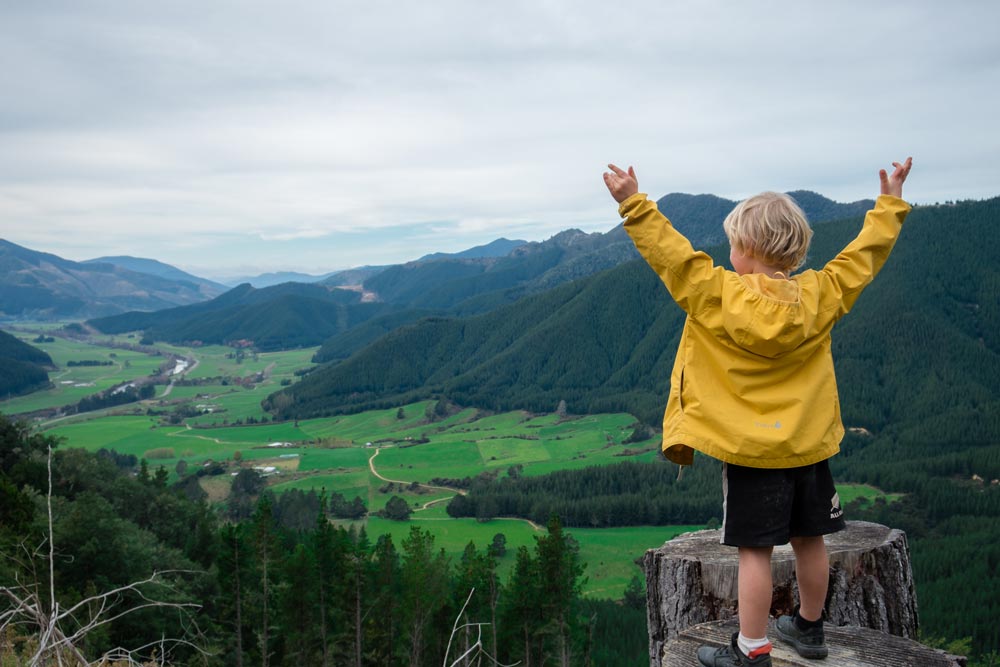 Kipton from Backyard Travel Family looking over the Marlborough view near the top of the Trig K track at Pelorus Bridge