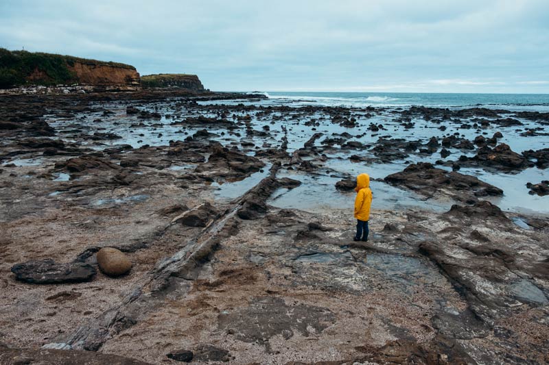 Exploring the Petrified Forest at Curio Bay is one of the most interesting things to do in the Catlins, NZ