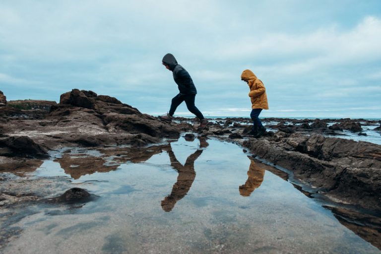 Nathan and Kipton from Backyard Travel Family explore the ancient trees in the Petrified Forest Curio Bay Catlins NZ