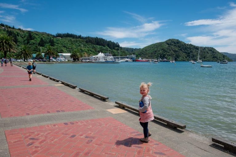 Emilia from Backyard Travel Family walks along the Picton Waterfront on a sunny blue day
