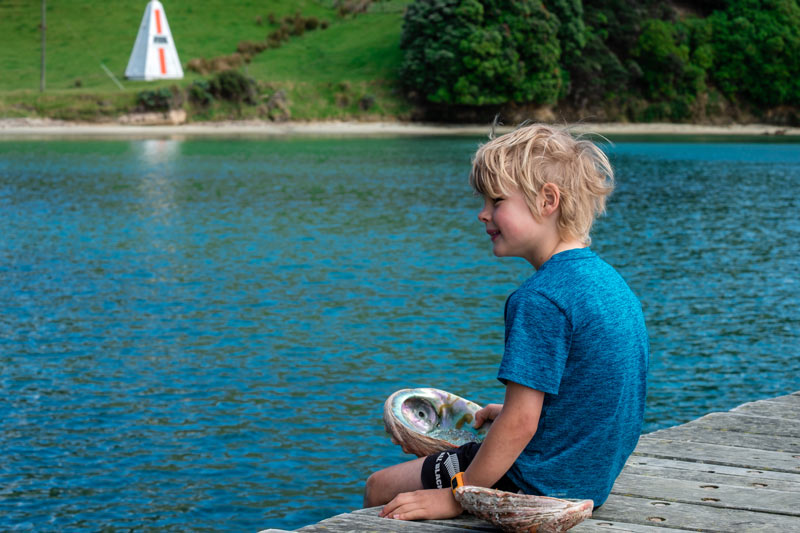 Nathan from Backyard Travel Family holds a Paua Shell on the Arapawa Island Blue Paua Pearl Tour