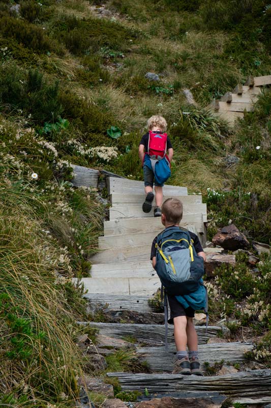 Kipton and Nathan walk up 2200 stairs on Mt Cooks Sealy Tarns Track, New Zealand