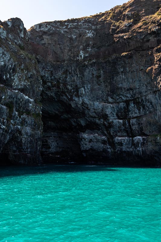 Sea Cave and azure blue water on a Black Cat Nature Cruise to find dolphins and wildlife in Akaroa
