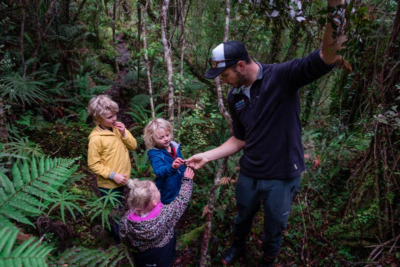 Dale from Franz Josef Wilderness Tours offer three children a taste of horopito on his boat cruise and forest walk tour