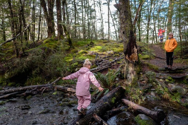 4 year old Emilia walks with her arms out for balance, crosses a stream by walking on a log