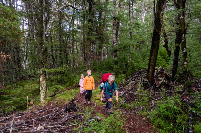 3 kids walk through the bright green native forest on their way to Kiwi Burn Hut Mavora Lakes